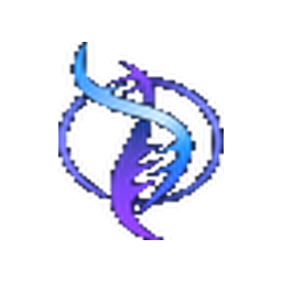 XE Peptides